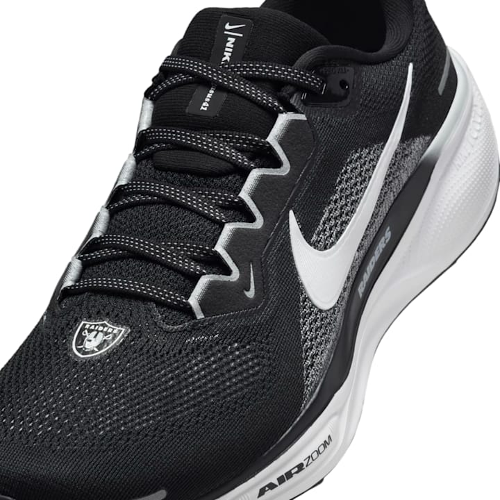raiders pegasus 38