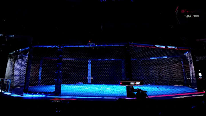 Empty UFC Octagon