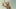 The Wheel of Time Season 3 - Aviendha The Wheel of Time Season 3 - Aviendha