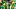 oregon ducks boise state broncos uniforms stripe out autzen stadium dan lannin dante moore big ten green yellow helmet oregon ducks boise state broncos uniforms stripe out autzen stadium dan lannin dante moore big ten green yellow helmet