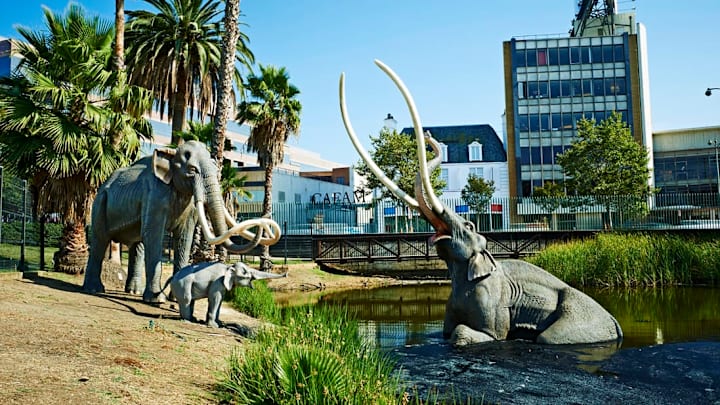 A scene from the La Brea Tar Pits with models of Ice Age animals.