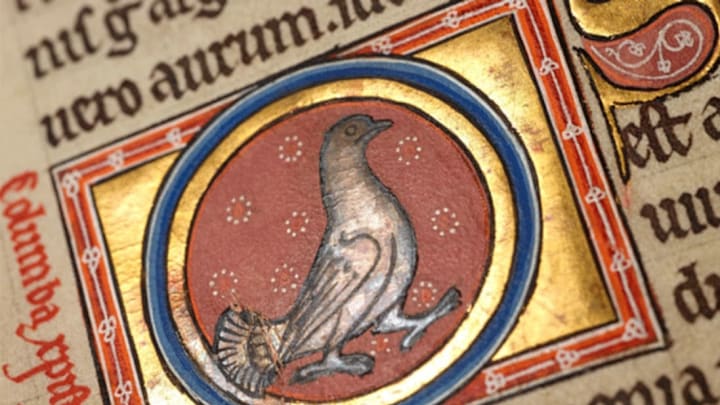 The “silver-colored dove” illustration in the Aberdeen Bestiary