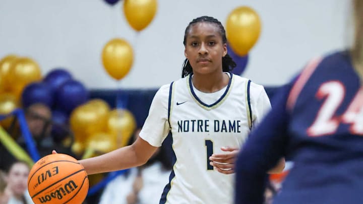 Hamiley Arenas, standout girls basketball player and daughter of former NBA player Gilbert Arenas, has transferred from Notre Dame to Sierra Canyon. Hamiley Arenas, standout girls basketball player and daughter of former NBA player Gilbert Arenas, has transferred from Notre Dame to Sierra Canyon.