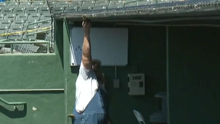 A man removes a beehive from the away dugout of Reckling Park before Rice vs. South Florida