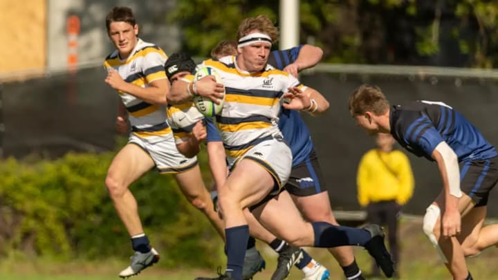 Cal rugby Cal rugby