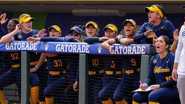 Cal softball in 2025