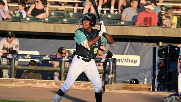 Lynchburg Hillcats outfielder Jaison Chourio (8).