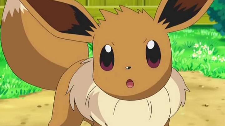 Eevee Eevee