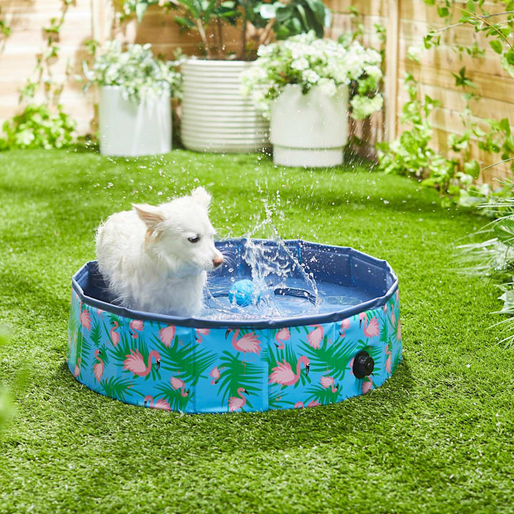 Outdoor toys for small dogs new arrivals