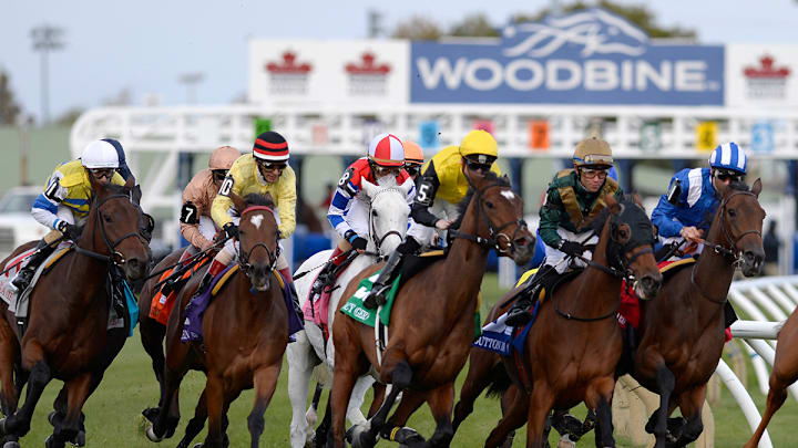 Woodbine Race Track Woodbine Race Track