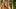 Kate Upton Kate Upton