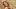 Brianna LaPaglia is wearing a brown bikini with a brown beaded top at The Austin Estate. Brianna LaPaglia is wearing a brown bikini with a brown beaded top at The Austin Estate.