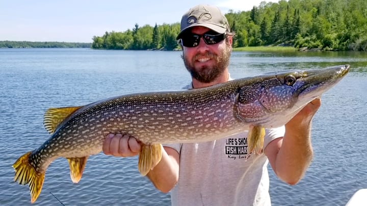 The author holds a 38-inch northern pike caught on a Suick. See below for the damage this fish inflicted to a brand new lure.