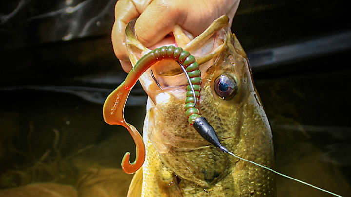 Stock your tackle bag with these six soft plastic baits to cover all of your bases when targeting largemouth bass. Stock your tackle bag with these six soft plastic baits to cover all of your bases when targeting largemouth bass.