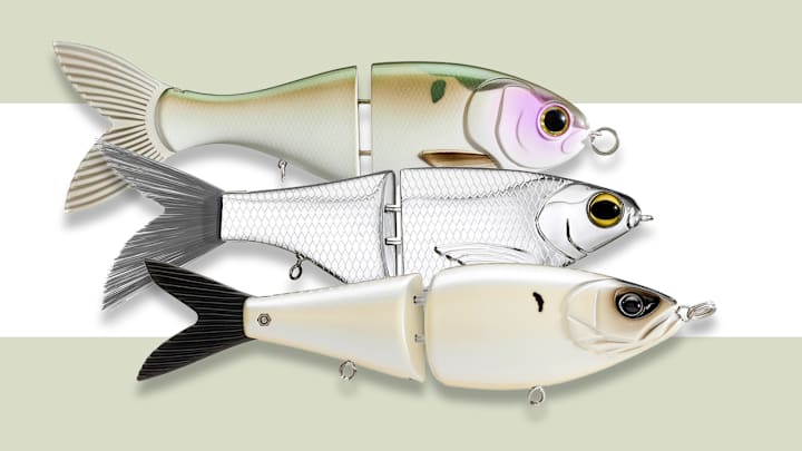 Three of the most popular and legit collab swimbaits on the market— the Bucca Brand Trick Shad, SPRO KGB Chad Shad, and Strike King Hog Father Jr.