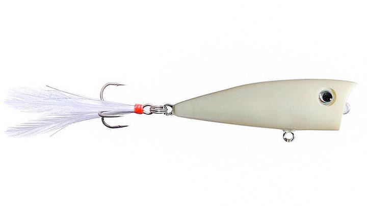 5 Must-Have Topwater Lures for Bass: Proven Picks for Explosive Strikes 5 Must-Have Topwater Lures for Bass: Proven Picks for Explosive Strikes