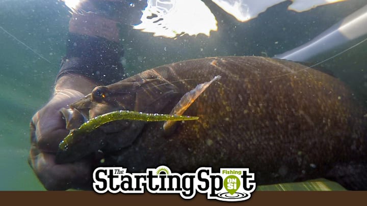 -St Clair Bassmaster Elite tournament observations -Big smallmouth bass eat trout in upper midwest lakes -How to overcome summer bass fishing struggles -St Clair Bassmaster Elite tournament observations -Big smallmouth bass eat trout in upper midwest lakes -How to overcome summer bass fishing struggles