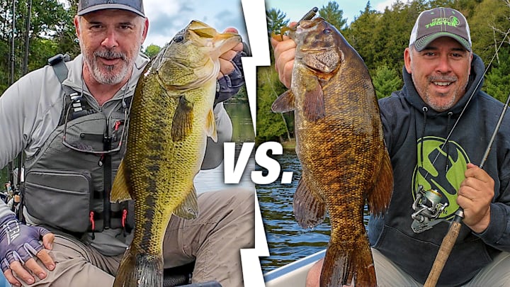 The green giant vs. the bronze bruiser—it's the ultimate freshwater fishing rivalry. The green giant vs. the bronze bruiser—it's the ultimate freshwater fishing rivalry.