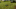 Lawn Mowing Simulator Dog Toy Lawn Mowing Simulator Dog Toy