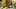 Ninja Peach - Princess Peach Showtime Ninja Peach - Princess Peach Showtime