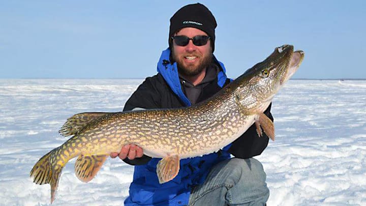 Trophy class pike are fun to catch on tip-ups, but catching them on a jigging rod is much more exciting! Author, Joe Shead, shares his best ice fishing tips for catching big pike.