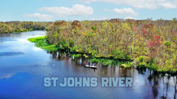 The St Johns River in Northern Florida is a premier largemouth bass fishing destination and a frequent stop for professional bass tournaments. The St Johns River in Northern Florida is a premier largemouth bass fishing destination and a frequent stop for professional bass tournaments.