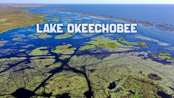 Discover the best lures, fishing tactics, and tournament insights for bass fishing on Lake Okeechobee in February 2025.