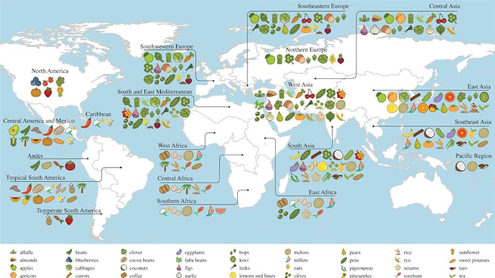 Where do your groceries come from?