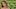 Bethenny Frankel was photographed by James Macari in Loreto, Baja California Sur, Mexico. Swimsuit by ViX Paula Hermanny.