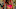 Tiffany Haddish was photographed by James Macari in Loreto, Baja California Sur, Mexico. Swimsuit by Shani Shemer.