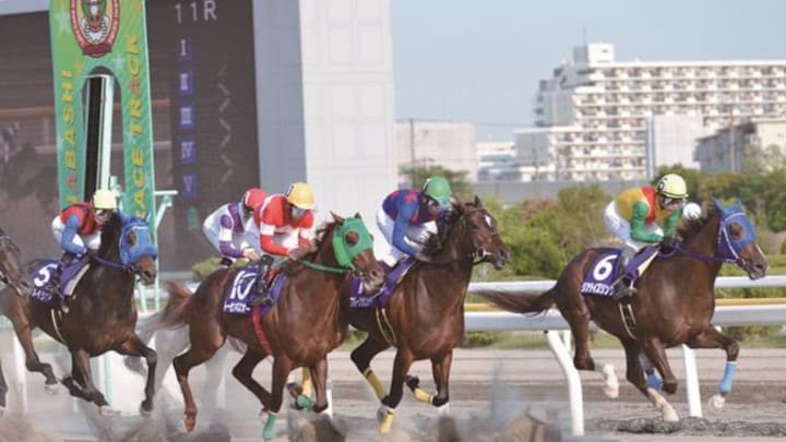 Nakayama Racecourse: Fukuryu Stakes Nakayama Racecourse: Fukuryu Stakes