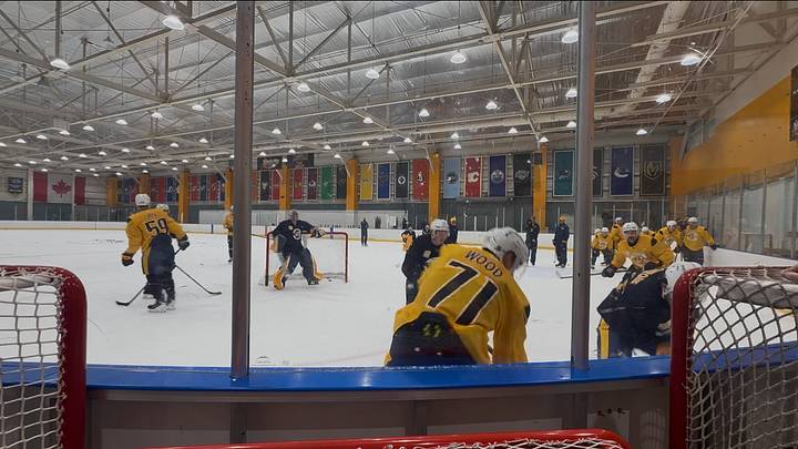 The Nashville Predators have a battle on the boards at practice The Nashville Predators have a battle on the boards at practice