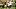 Texas A&M Aggies wide receiver Mario Craver\ Texas A&M Aggies wide receiver Mario Craver\