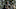 The Lord of the Rings: The Rings of Power season 2 episode 7 207 Doomed to Die Siege of Eregion Battle of Eregion The Lord of the Rings: The Rings of Power season 2 episode 7 207 Doomed to Die Siege of Eregion Battle of Eregion