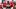 Blackshirts shield 2024 Nebraska football Fan Day Blackshirts shield 2024 Nebraska football Fan Day