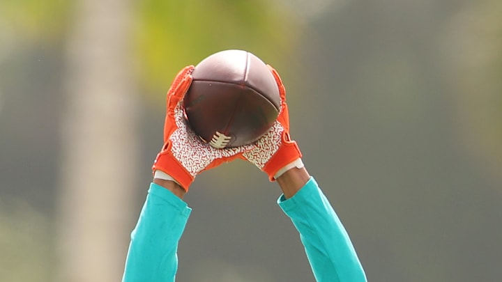 Miami Dolphins Training Camp