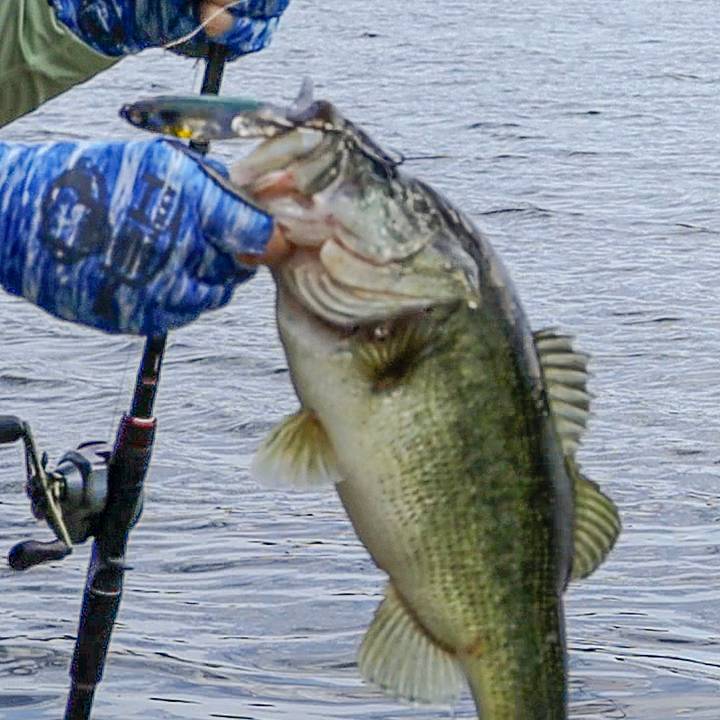 akule fishing lures HP Akule Fly by Trevor  Hanapaa