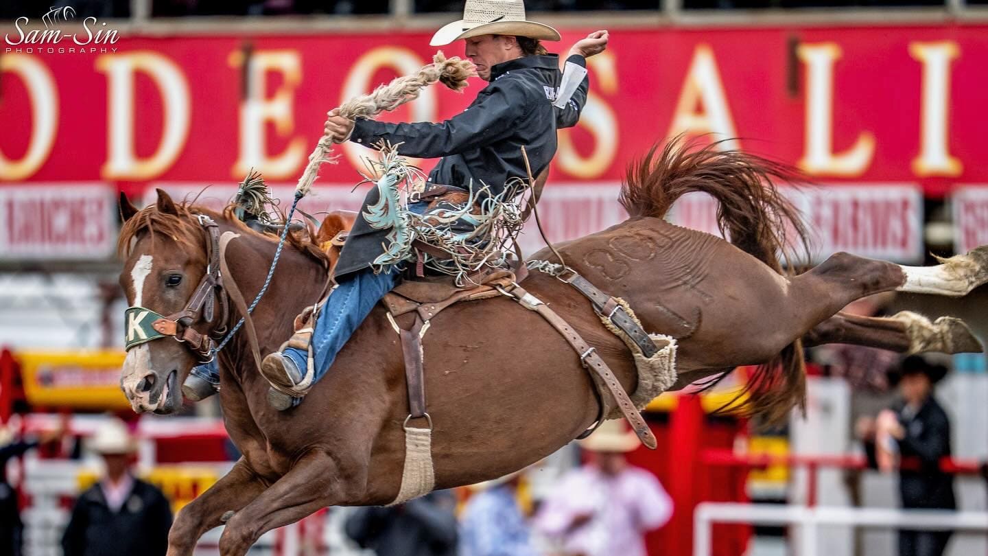 The Ins and Outs of the San Antonio Stock Show and Rodeo