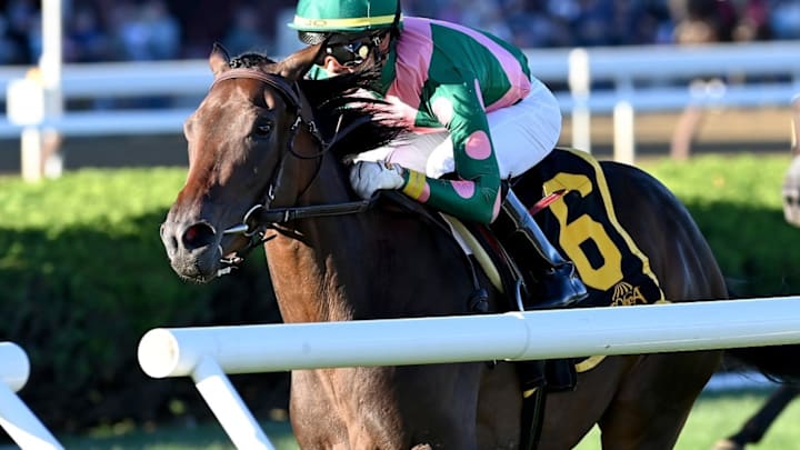 Be Your Best won the P.G. Johnson at Saratoga as a 2-year-old in September of 2022.