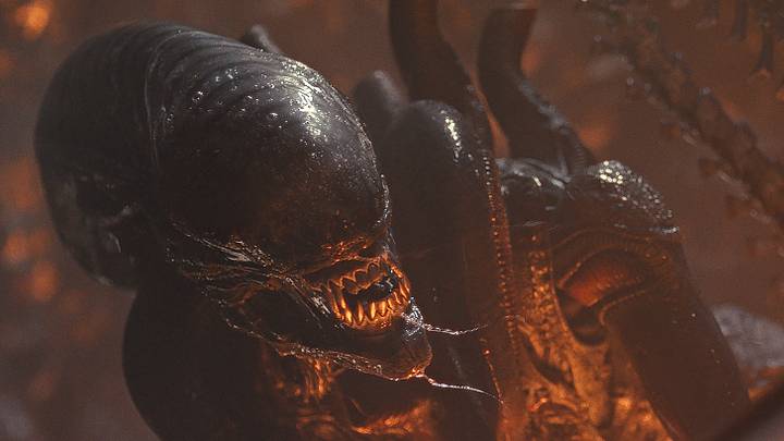 Xenomorph in 20th Century Studios' ALIEN: ROMULUS. Photo courtesy of 20th Century Studios. © 2024 20th Century Studios. All Rights Reserved. Xenomorph in 20th Century Studios' ALIEN: ROMULUS. Photo courtesy of 20th Century Studios. © 2024 20th Century Studios. All Rights Reserved.