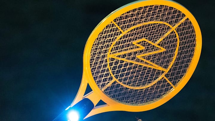 Zap It! Bug Zapper