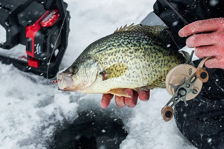 3 speed fishing reel Lew's Custom Pro Gen 3 Baitcasting Reel