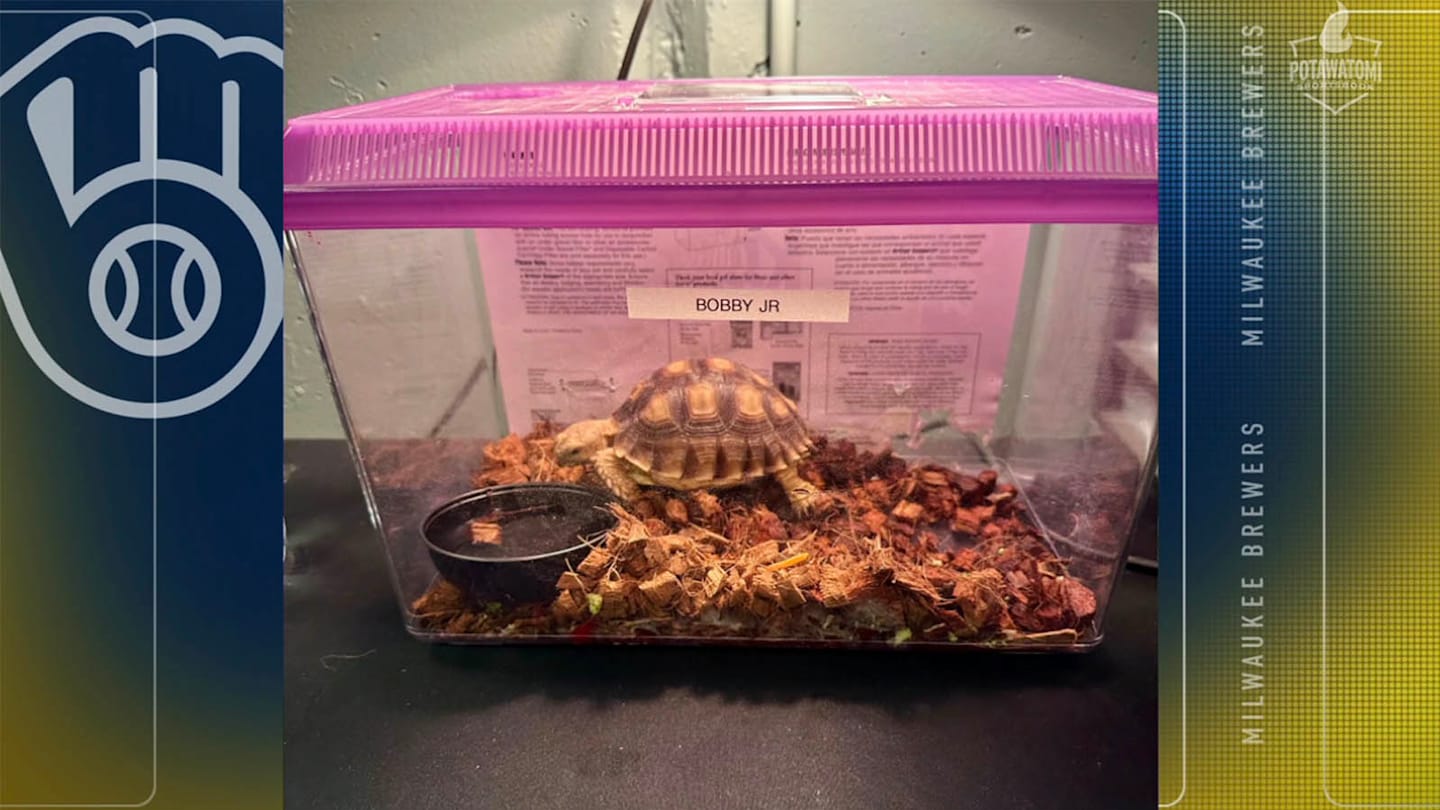 Milwaukee Brewers Get Tortoise Mascot Named Bobby Jr. After Bobby Witt Jr.