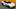A.J. Allmendinger's 2026 Celsius paint scheme A.J. Allmendinger's 2026 Celsius paint scheme