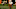 Warren Roberson, Texas football