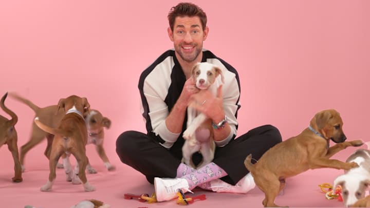 New BuzzFeed Puppy Interview: John Krasinski. Image Credit to Buzzfeed Celeb. 
