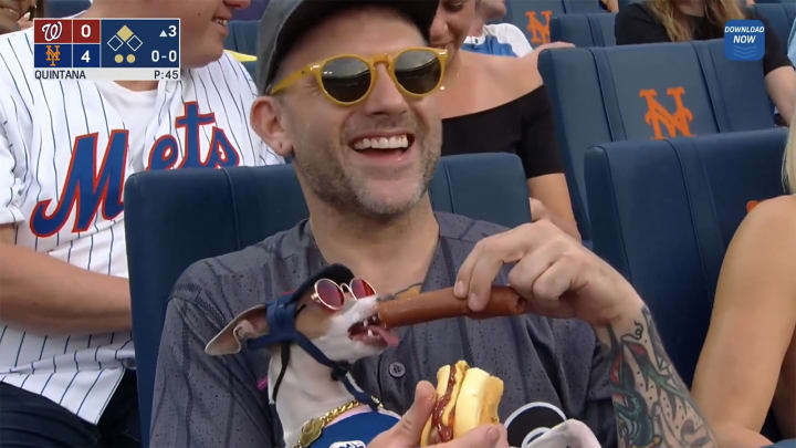 A fan gives his pup a hot dog treat during the Mets' matchup against the Nationals.