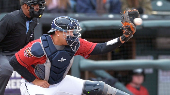 Erie SeaWolves catcher Thayron Liranzo works against the Harrisburg Senators on opening day at UPMC Park in Erie on April 4, 2025. Home plate umpire Elliott Melton is at left.