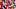 Oklahoma Sooners, Tate Sandel Oklahoma Sooners, Tate Sandel