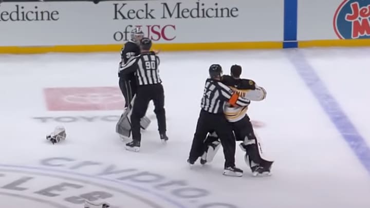 Jeremy Swayman and Darcy Kuemper tried to fight during the Kings - Bruins game on Sunday.